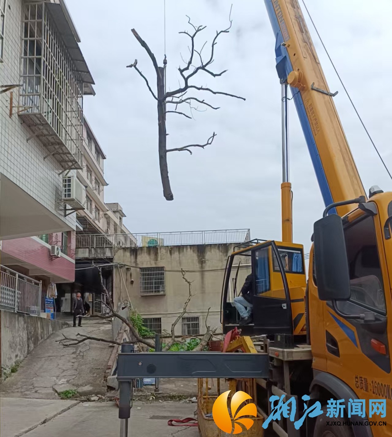 微信图片_20251113100527_34_69.jpg 微信图片_20251113100527_34_69.jpg