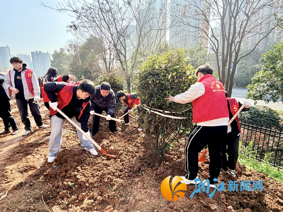 学峰植树节1.png 学峰植树节1.png
