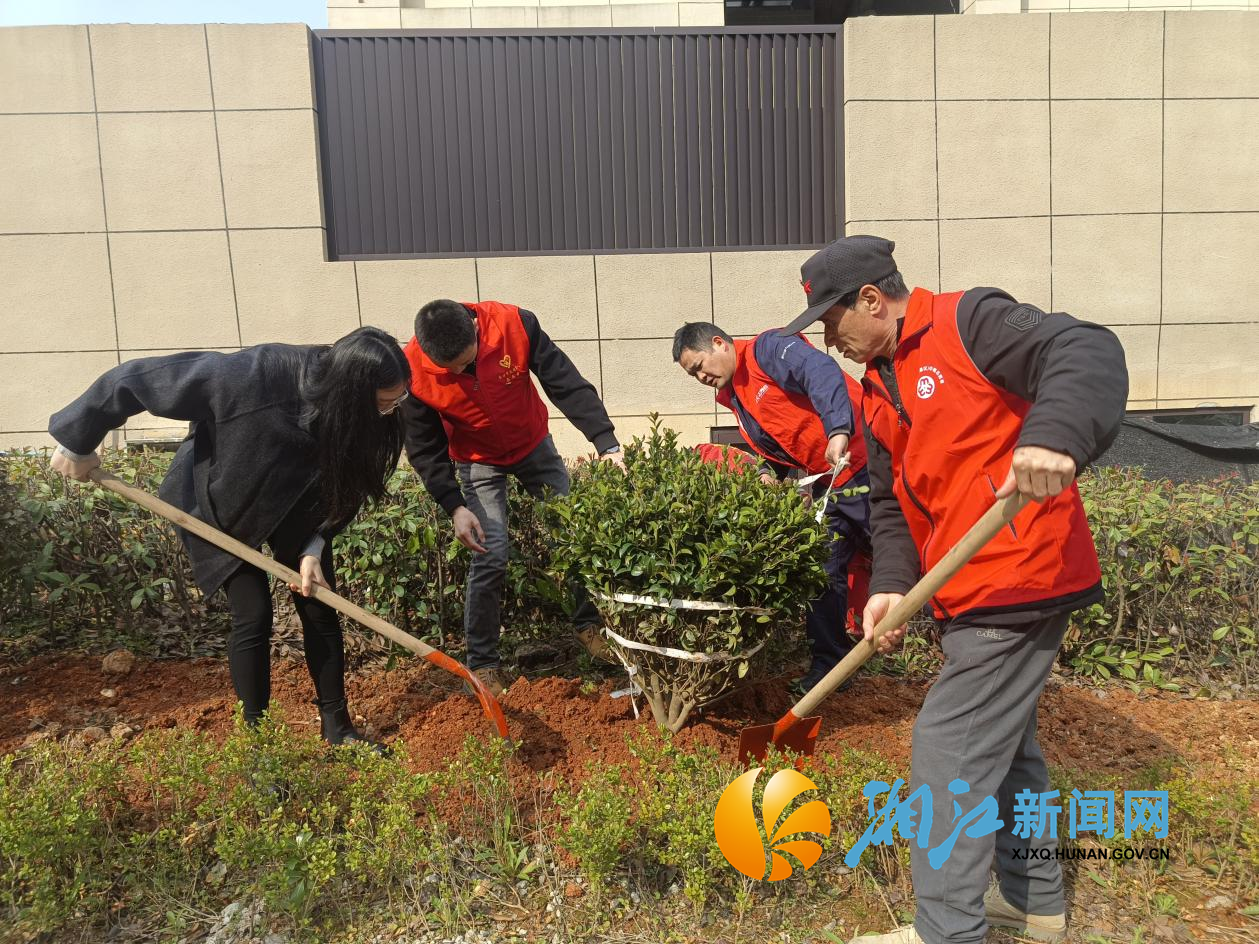 学士桥植树节1.png 学士桥植树节1.png