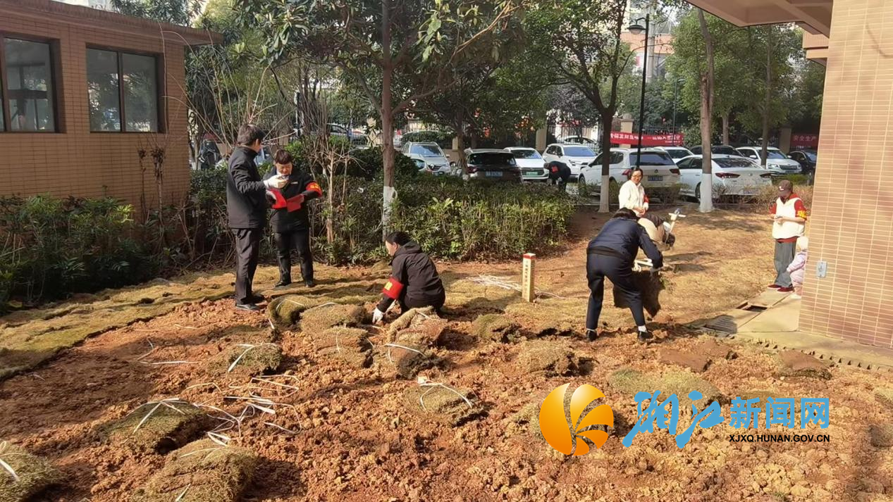学锦社区植树节2.png
