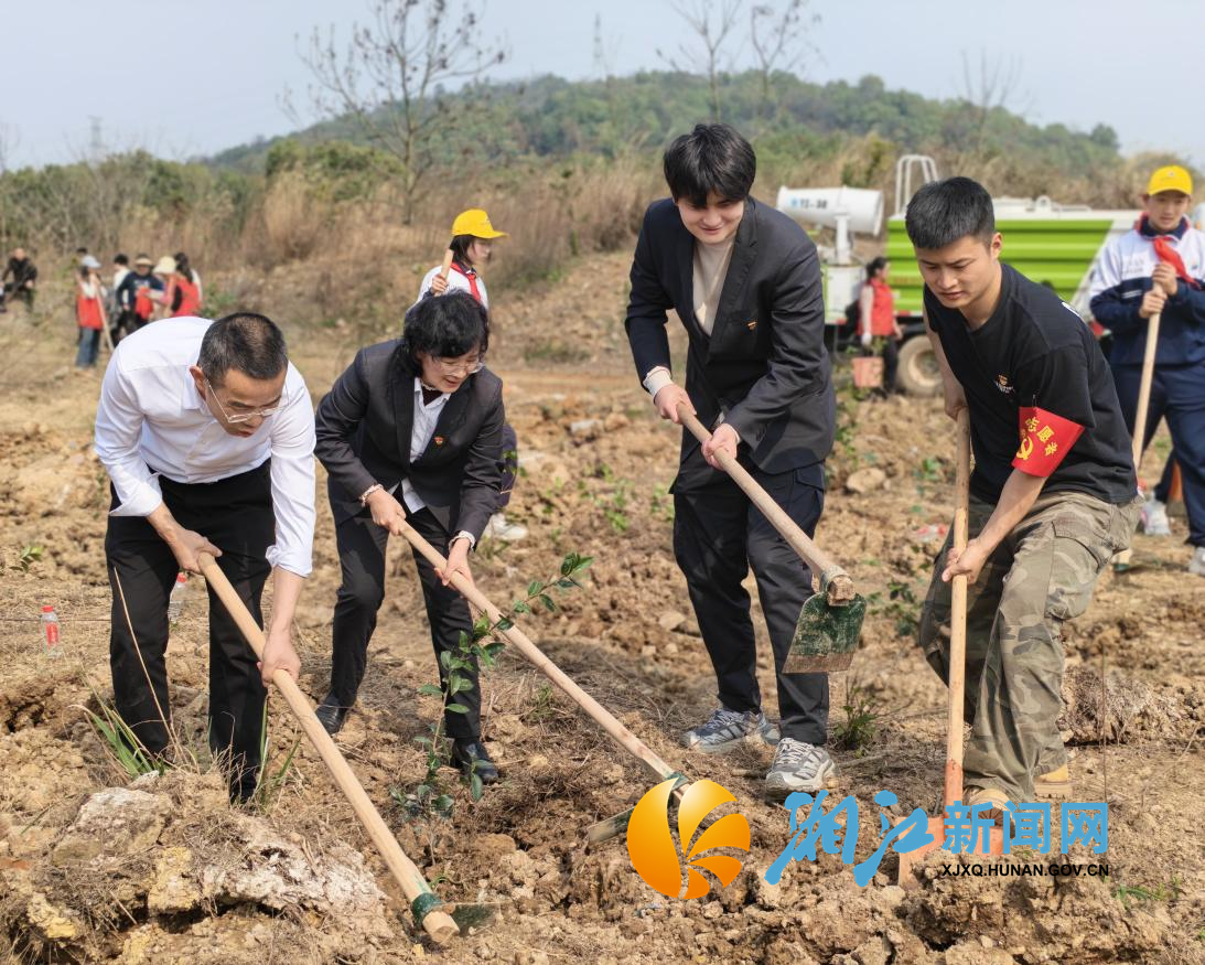 学泰村植树节2.png 学泰村植树节2.png