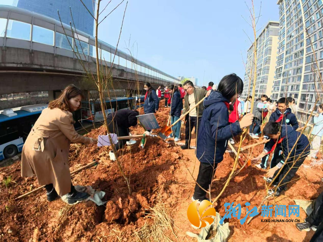 学府植树节2.png