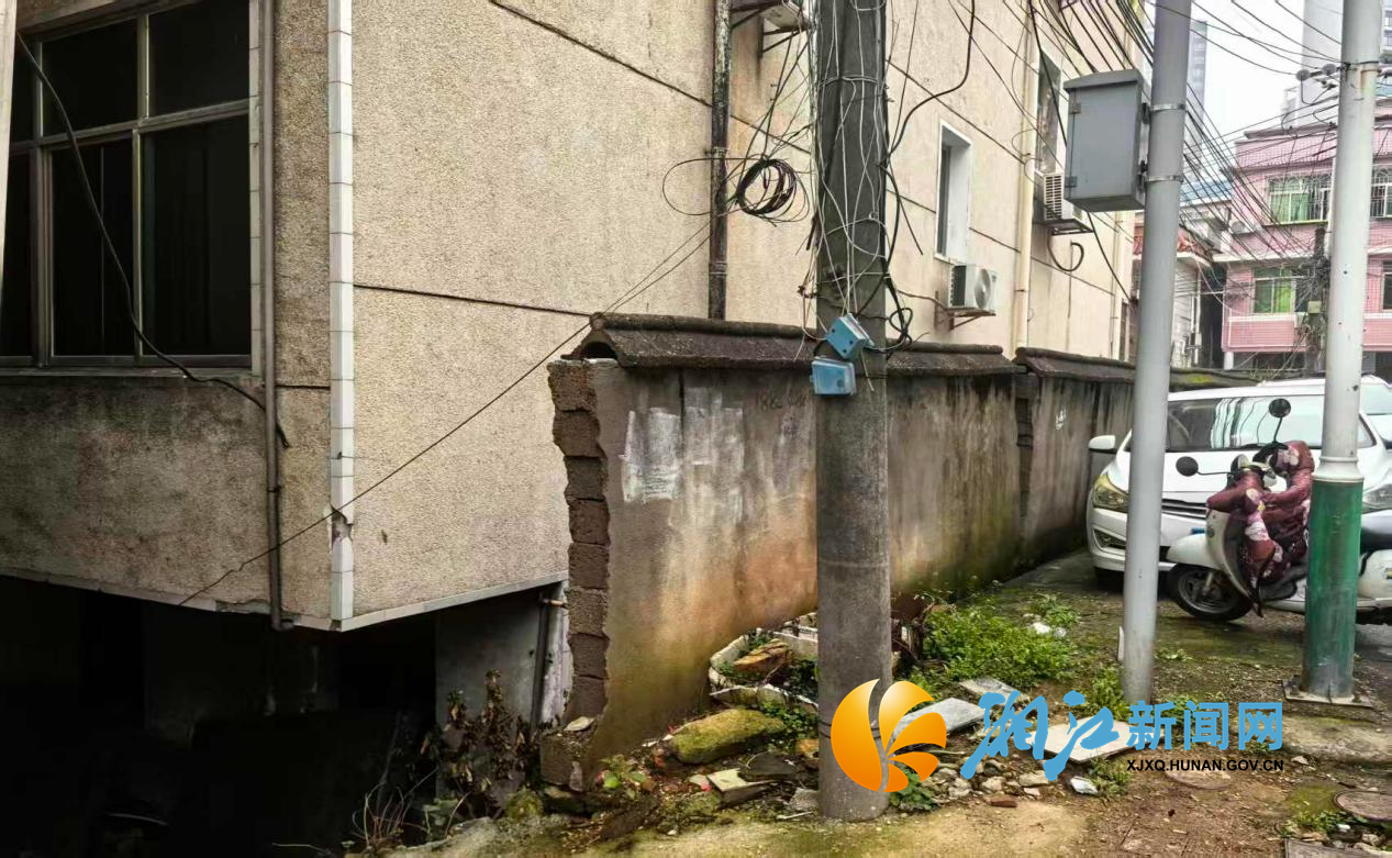 白鹤危墙1.png