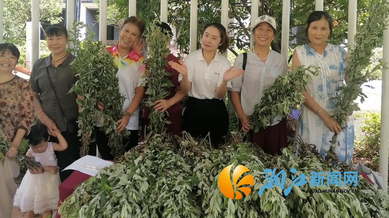 学府端午节3.png