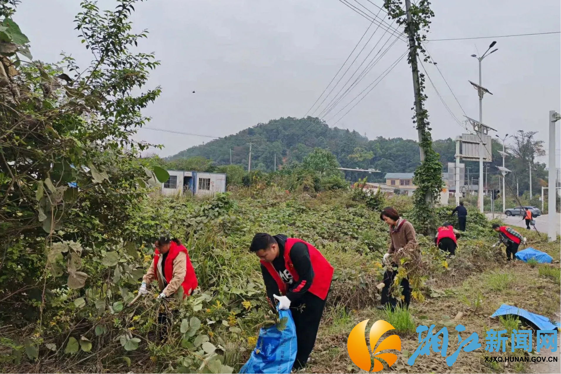 大坡村重阳+生态4.jpg 大坡村重阳+生态4.jpg