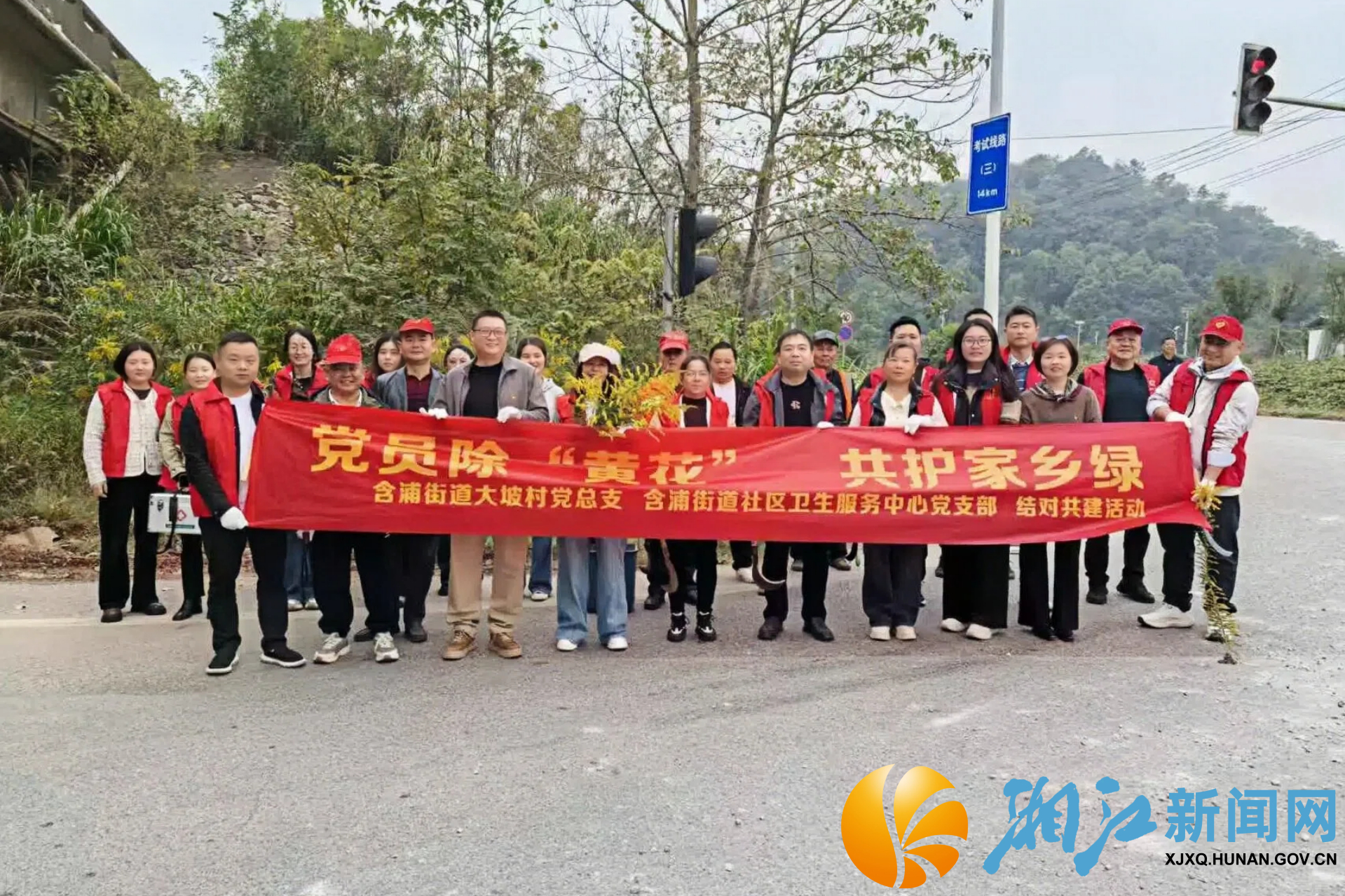 大坡村重阳+生态5.jpg 大坡村重阳+生态5.jpg