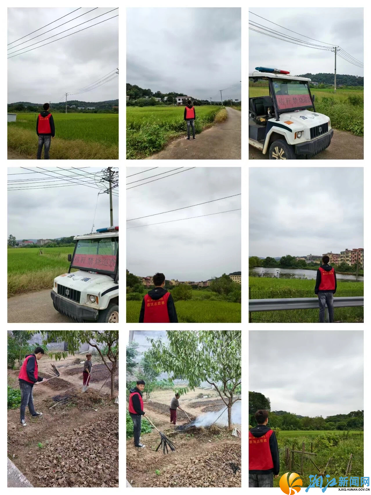 含浦街道秸秆禁烧5.jpg 含浦街道秸秆禁烧5.jpg