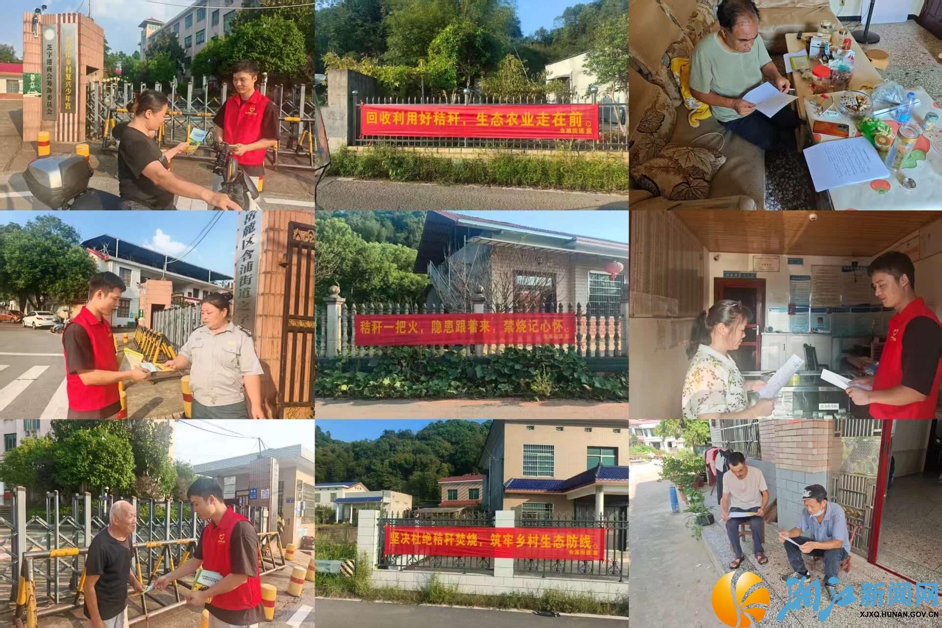 含浦街道秸秆禁烧4.jpg 含浦街道秸秆禁烧4.jpg