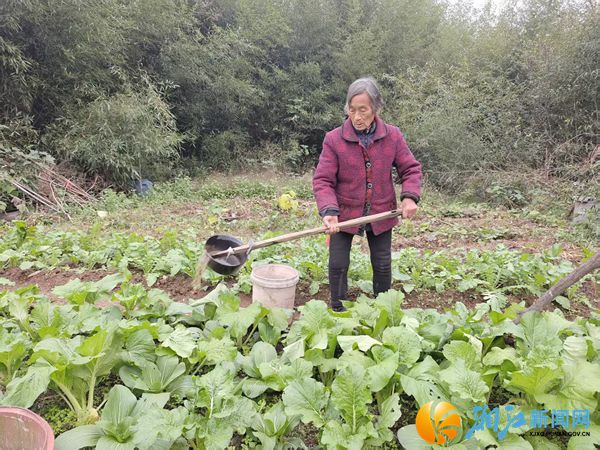 微信图片_20260311113211_471_9_副本.jpg 微信图片_20260311113211_471_9_副本.jpg