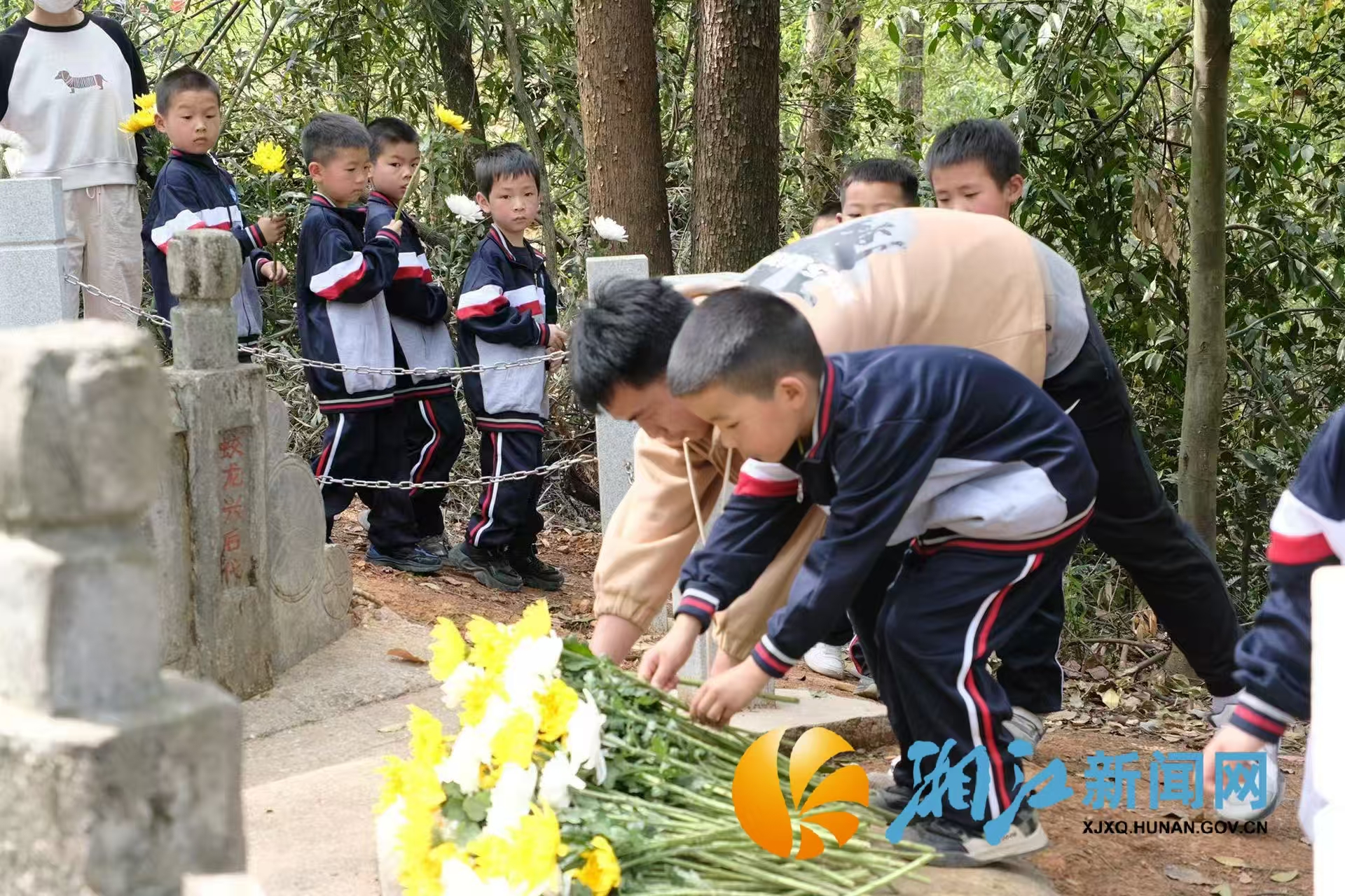 微信图片_2025-04-03_143124_500.png