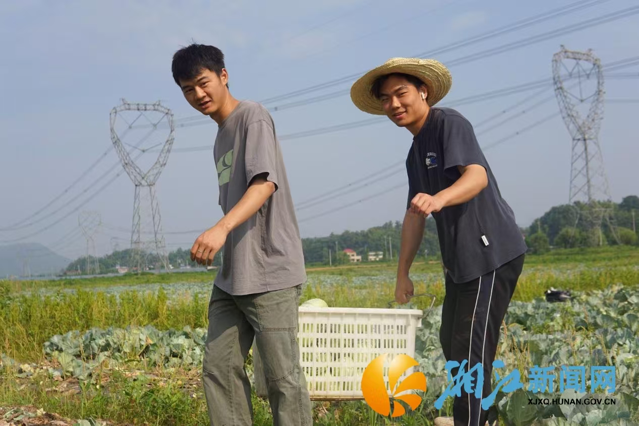 微信图片_2025-05-26_151942_687.png