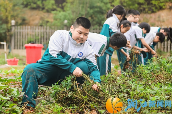 微信图片_20251113095105_46_1063.jpg 微信图片_20251113095105_46_1063.jpg