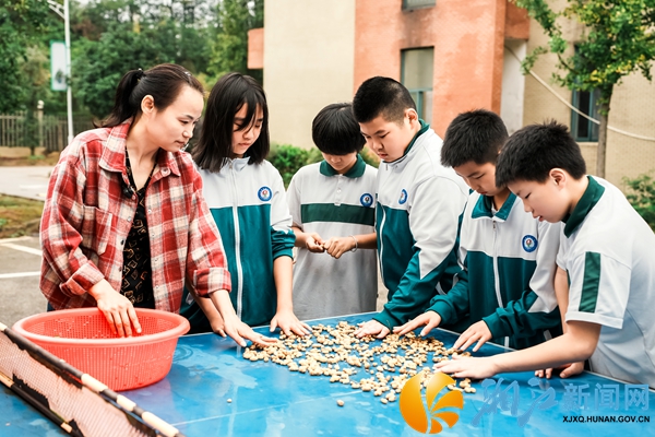 微信图片_20251113095002_39_1063.jpg 微信图片_20251113095002_39_1063.jpg