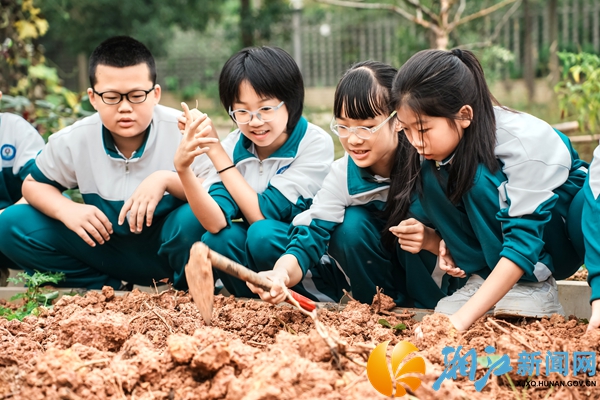 微信图片_20251113095044_43_1063.jpg 微信图片_20251113095044_43_1063.jpg