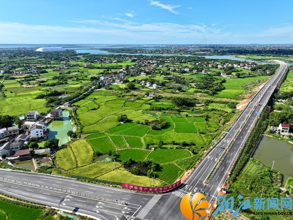 疏港公路.jpg