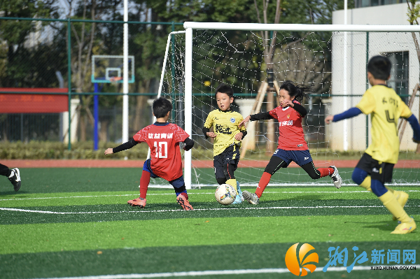 微信图片_20251121200935_162_33 (1).jpg