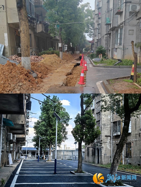 对比图.jpg
