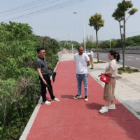 我为群众办实事 | 朝阳街道:监督“小切口”推动民生“大改善”
