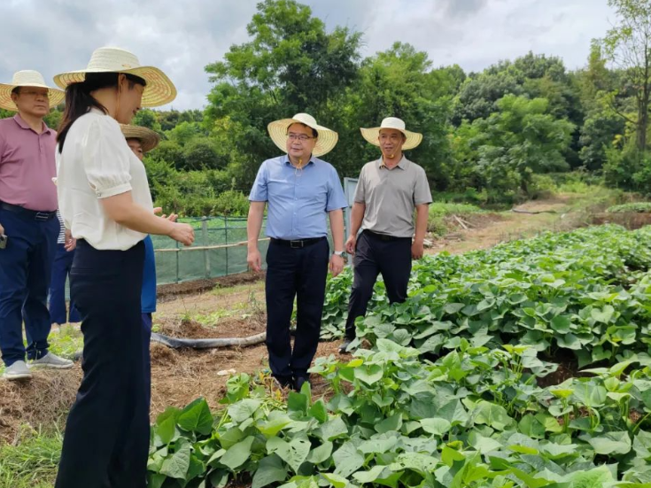 零陵：赵立平到石岩头镇、大庆坪乡、水口山镇调研