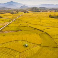 零陵：融合创新结硕果 振兴路上动能强