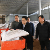 赵立平赴乡镇街道调研强调：坚持党建引领 推进乡村振兴