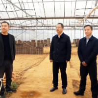 龙亮赴乡镇街道调研春耕生产工作