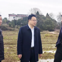 赵立平赴乡镇调研基层党建、产业发展及春耕生产等工作