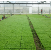 零陵：春耕备耕正当时 稳粮增收底气足