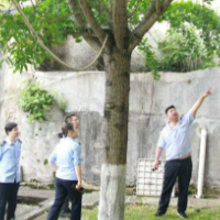 零陵税务：隐患排查“无死角” 立行立改“护平安”