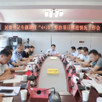 赵立平专题调度“4+10”整治项目推进情况