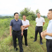 赵立平赴乡镇调研时强调:抓实特色产业提质 筑牢安全稳定底线
