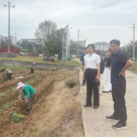 零陵区人大常委会赴水口山镇开展巩固脱贫攻坚成果专项调研
