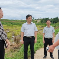 唐基归赴乡镇调研晚稻生产及耕地抛荒整改工作