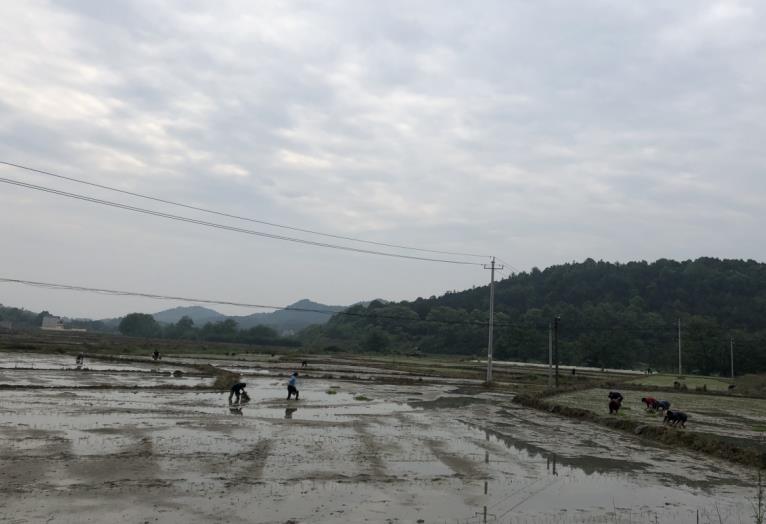微信截图_20200426191057.jpg