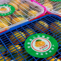 零陵：金果满枝头 果农乐丰收