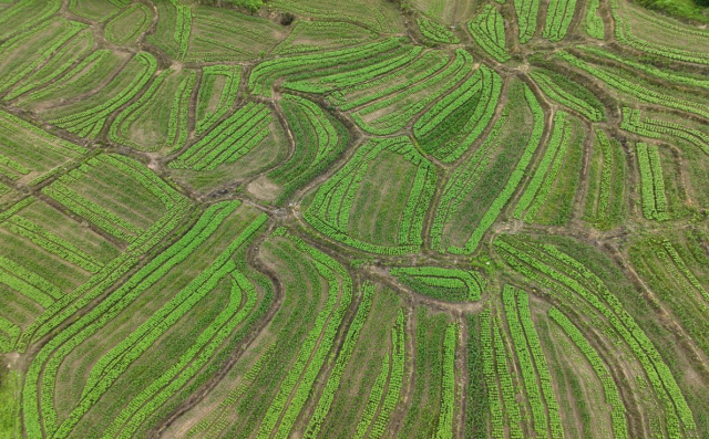 微信图片_2025-06-25_092816_786_副本_副本.png