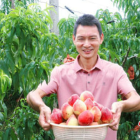 零陵：特色水果产业助农增收