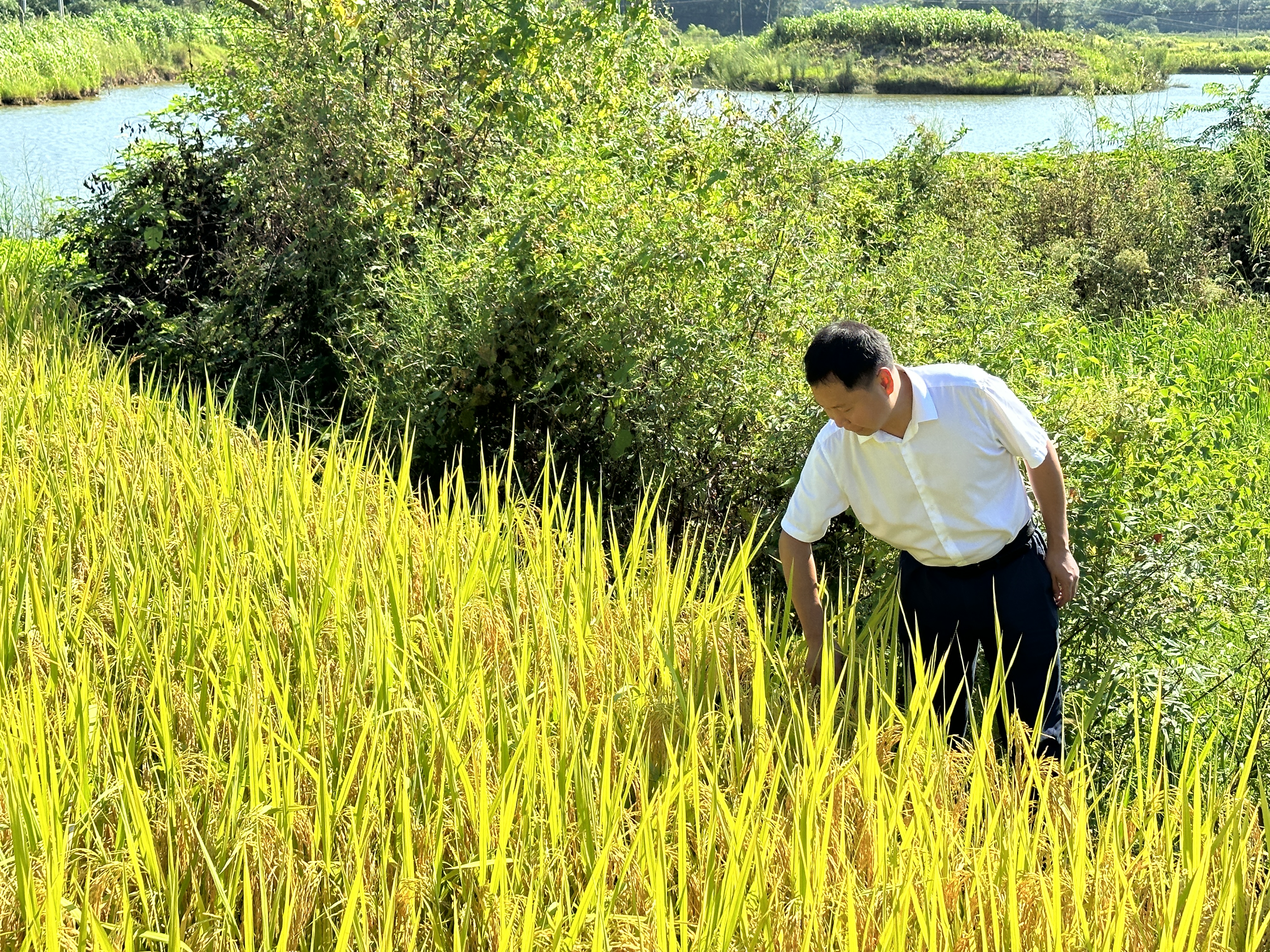 微信图片_20230920153849.jpg
