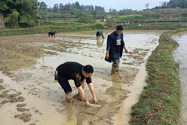 微信图片_20220329113950.jpg