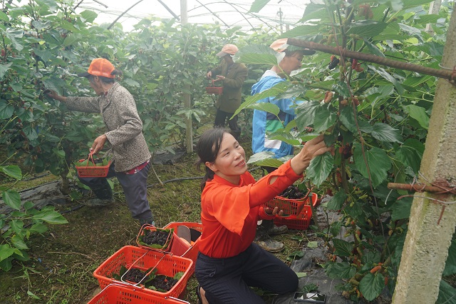 微信图片_20220424163732.jpg