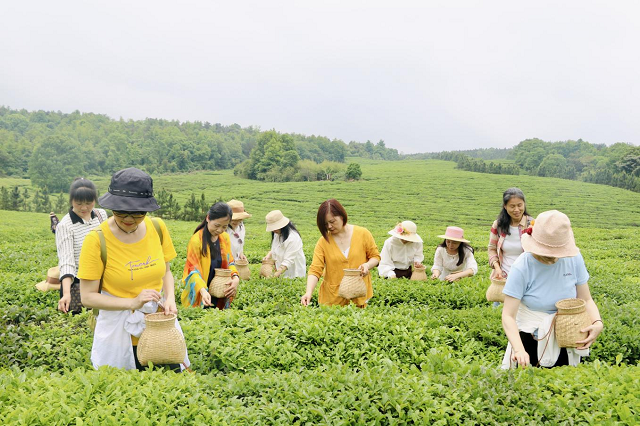 图片6.png 图片6.png