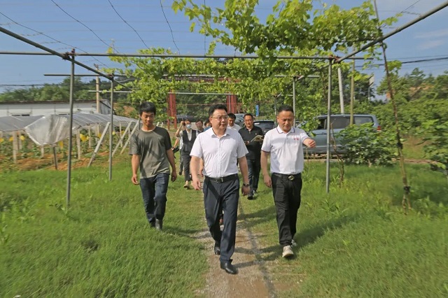 640.jpg