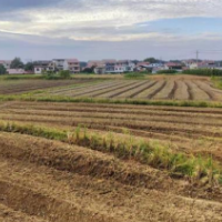 让“闲田”有“钱景” 零陵区全力推进秋冬种