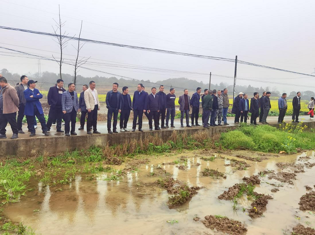 图片4.png 图片4.png