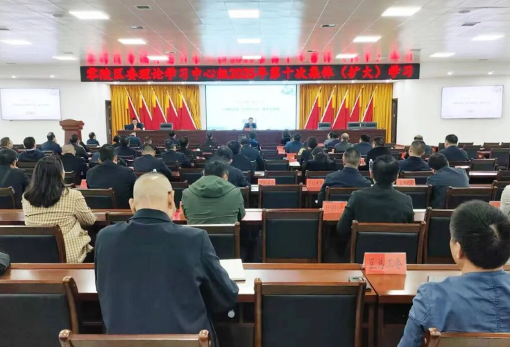 区委理论学习中心组2025年第十次集体（扩大）学习举行