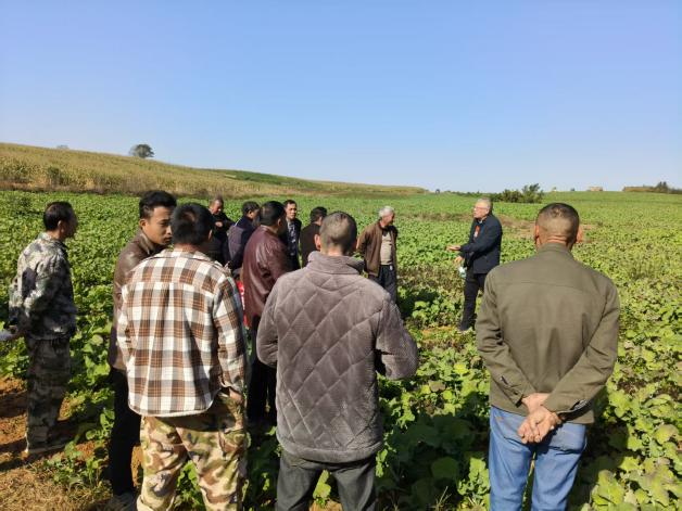 图片2.png 图片2.png