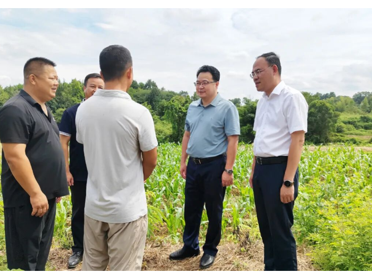 赵立平深入一线调研督导：以党建引领乡村振兴 夯实产业发展根基