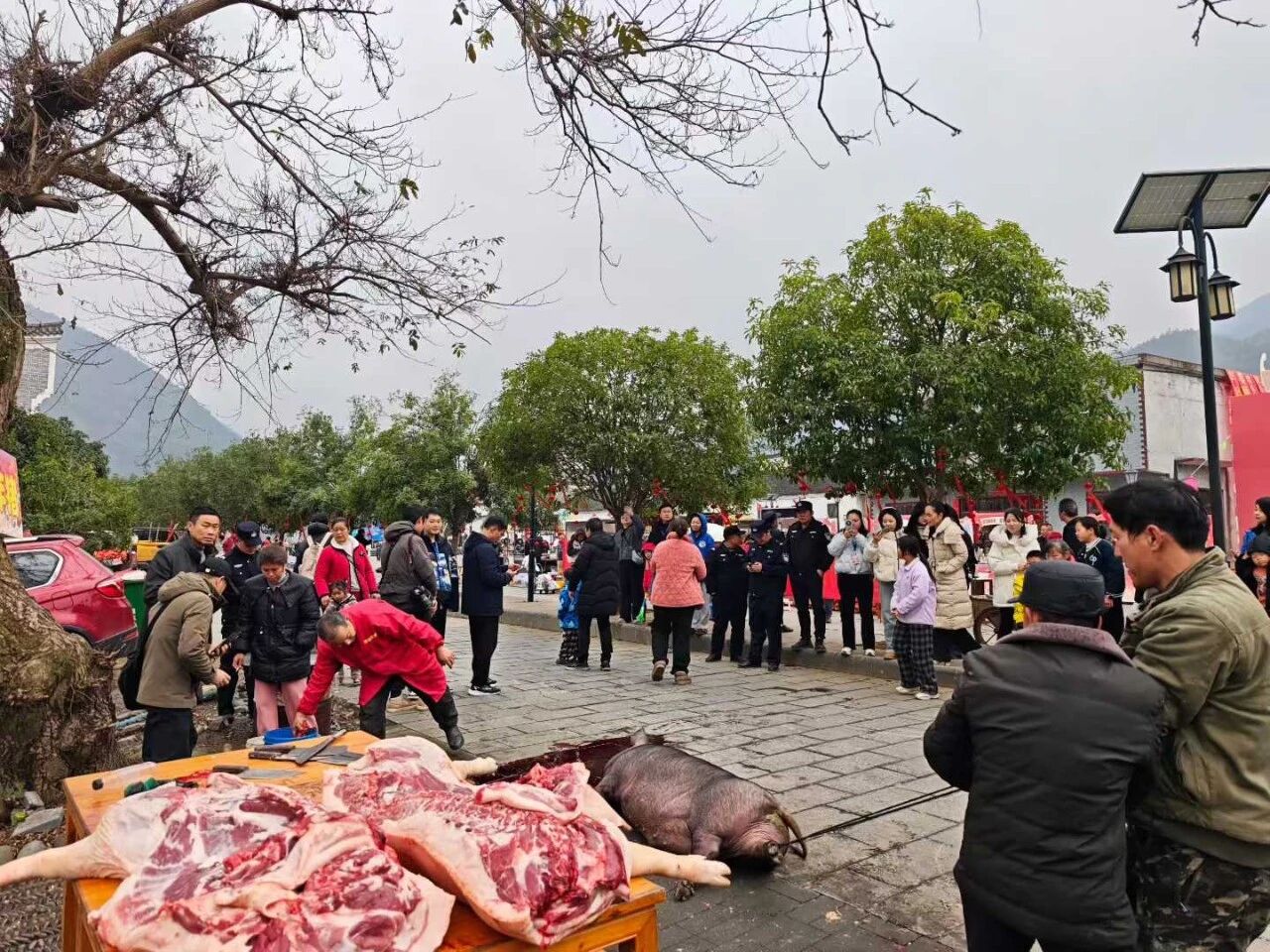 1月25日上午，永州零陵周家大院景区年味正浓，“观冠军赛事，品零陵年味”活动火热开启。书法名家现场挥毫送春联，传统“杀年猪”仪式与共享“杀猪饭”让游客亲身感受零陵地道年俗；非遗市集里竹编、剪纸、打糍粑等技艺与美食吸引众人驻足体验，浓浓乡土情扑面而来。午间，“柳子家宴”以地道家乡味款待宾朋，席间零陵特色文艺表演更添温馨团圆氛围。午后田园拾趣、夜晚篝火村晚等更多精彩将继续上演……