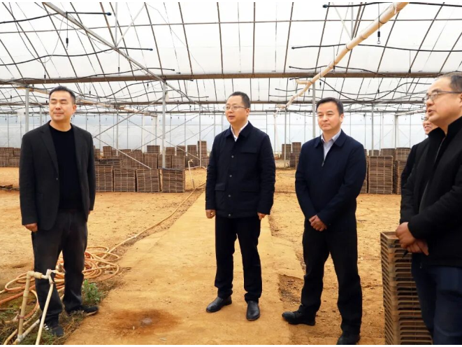 零陵：龙亮到乡镇街道调研春耕生产工作