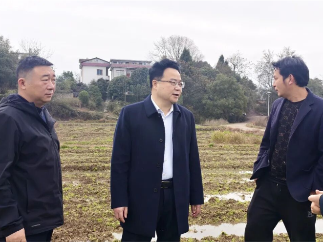 零陵：赵立平赴乡镇调研基层党建、产业发展及春耕生产等工作